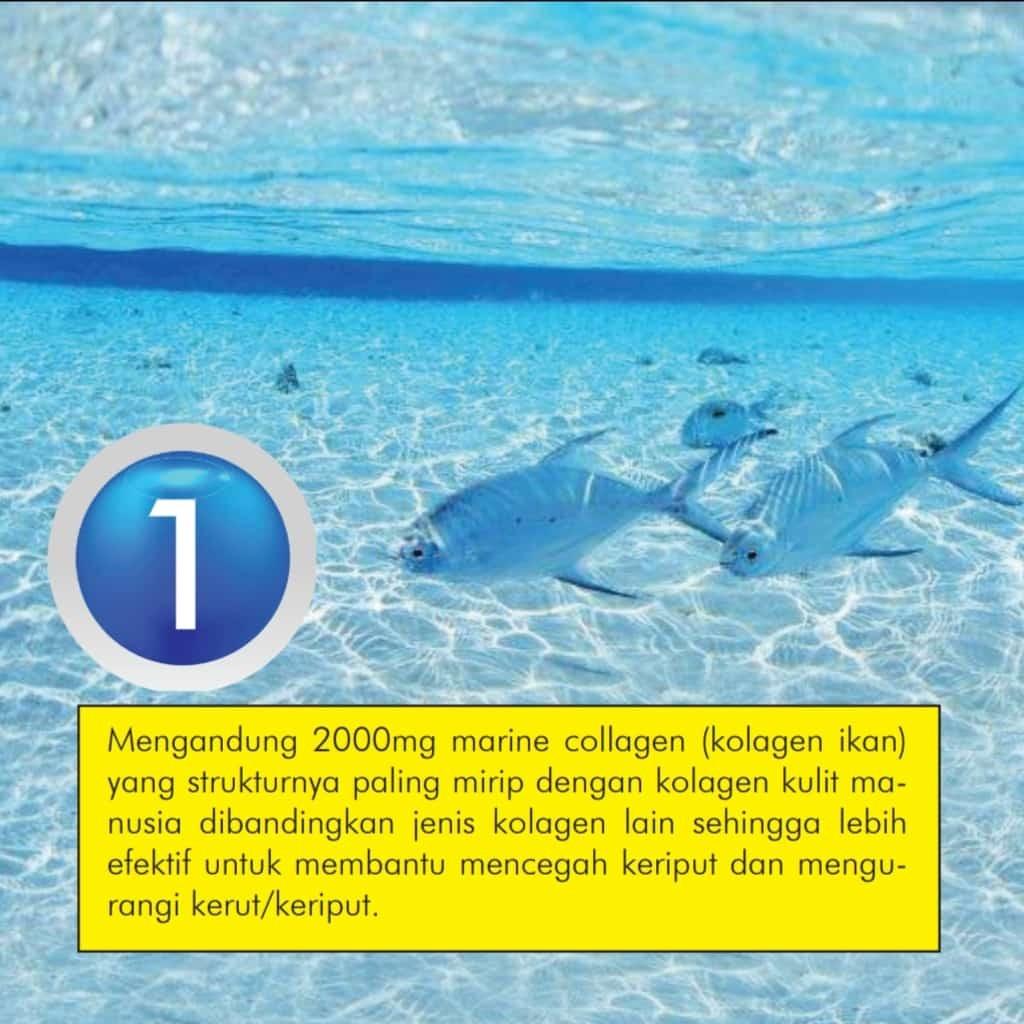 6 Manfaat Kolagen Yang Wajib Anda Tahu Bukan Hanya Untuk Kulit Kesehatan Kecantikan Kulit Sabun Tubuh Di Carousell