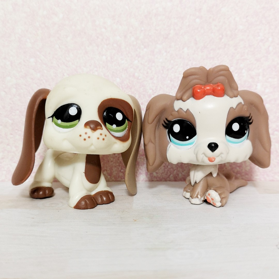 Lps basset 2025
