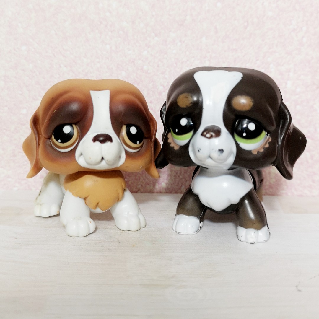 Lps saint bernard deals