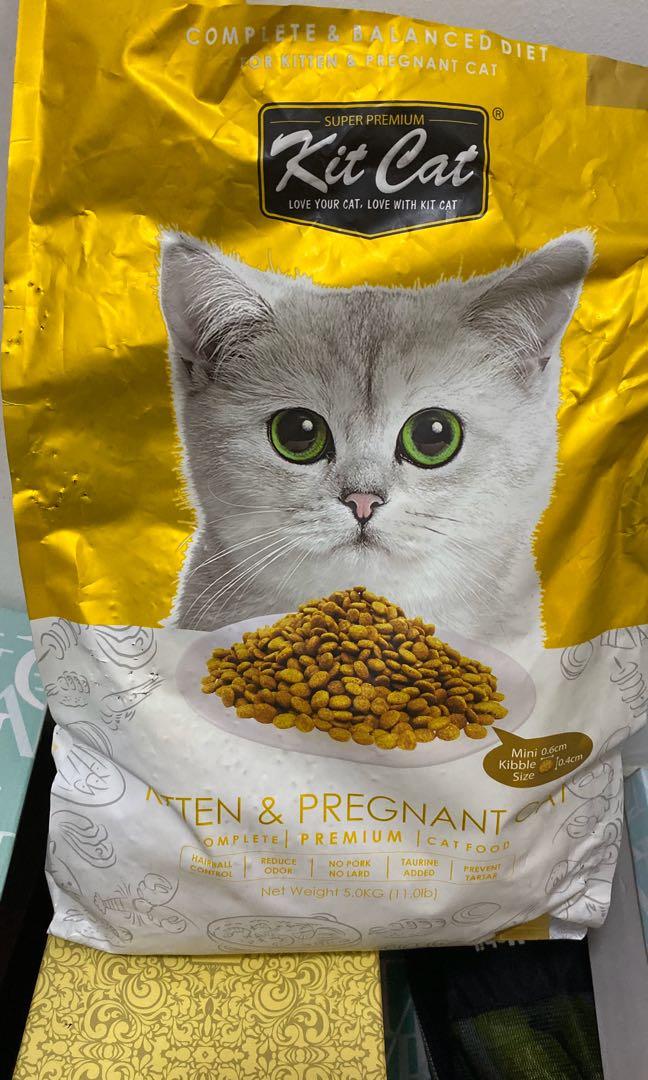 Cat theatralic food for pregnant cats