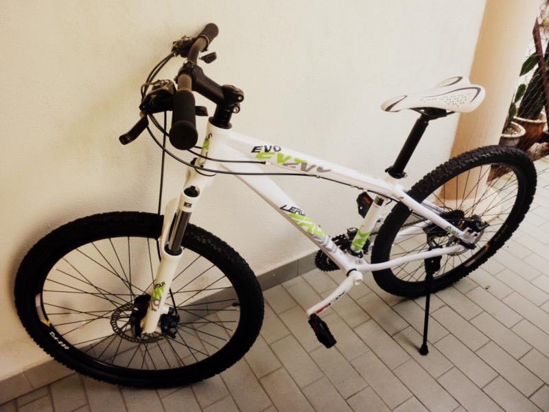 Evo 20 inch bike deals