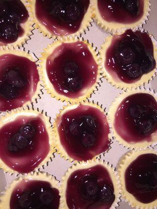 Blueberry cheesecake and cupcakes