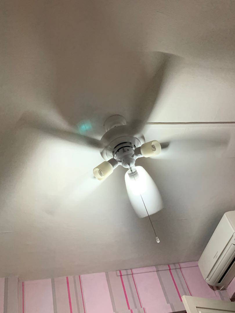 Price Further Reduced Ceiling Fan With Light Furniture Others Further Reduced Ceiling Fan With Light