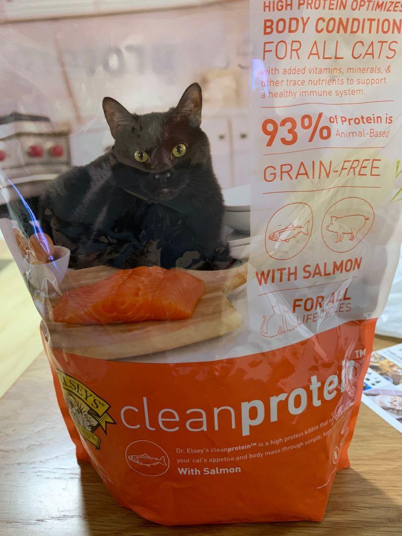 Dr Elsey S Cleanprotein Salmon Formula Grain Free Dry Cat Food