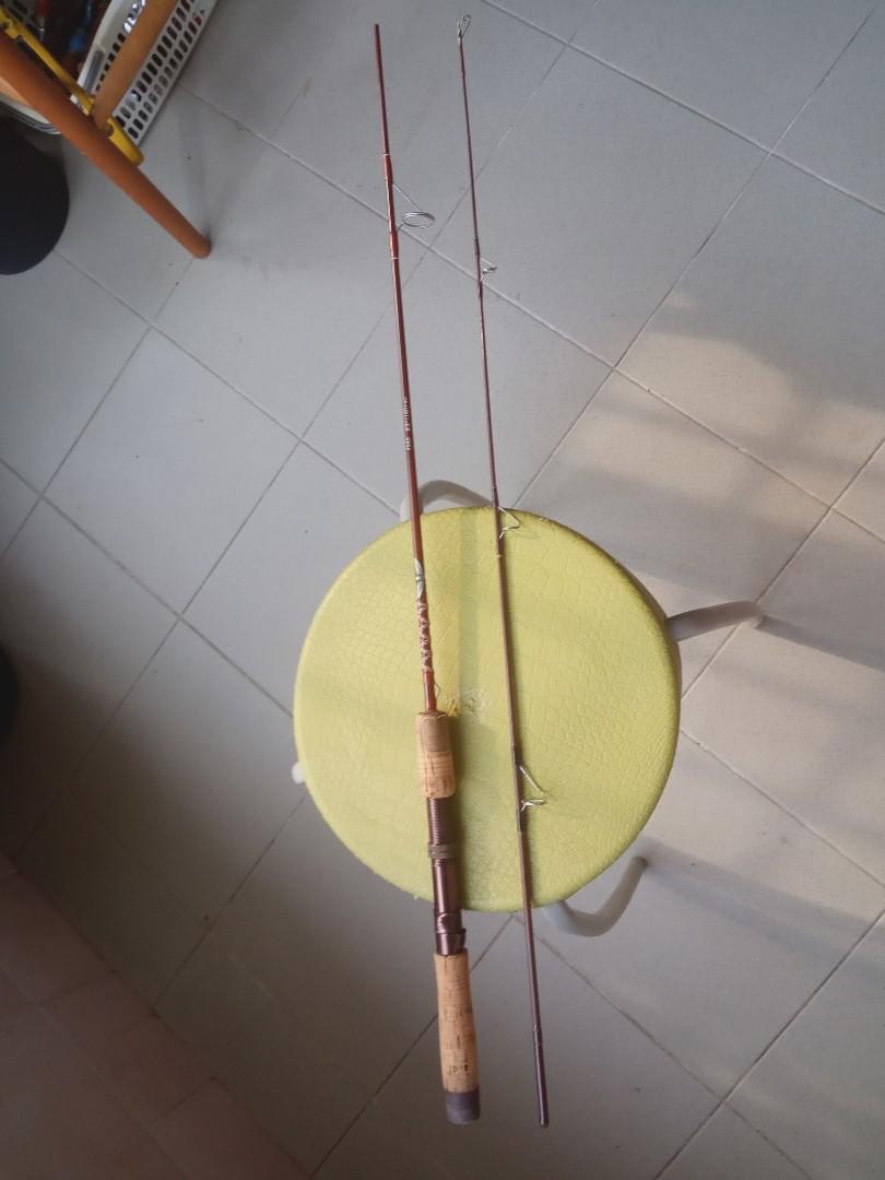 Fenwick vintage fishing rod (reduced price), Hobbies & Toys, Memorabilia &  Collectibles, Vintage Collectibles on Carousell