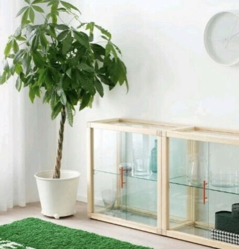 Pine Markerad display case by Virgil Abloh for IKEA