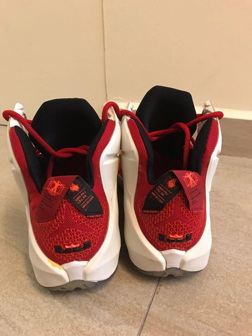nike lebron 12 heart of a lion