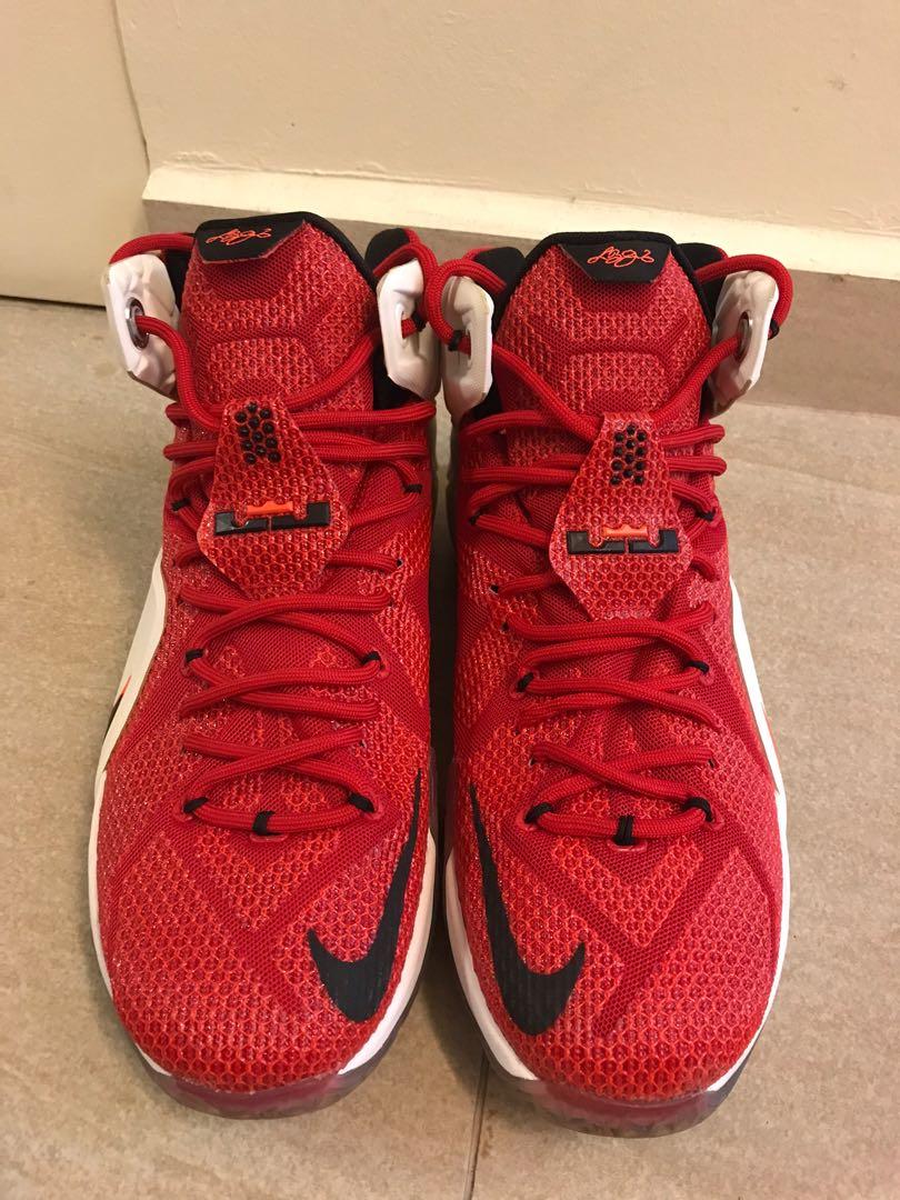 nike lebron 12 heart of a lion