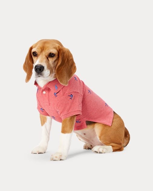 Ralph Lauren Dog Polo Tee, Pet Supplies, Health & Grooming on Carousell