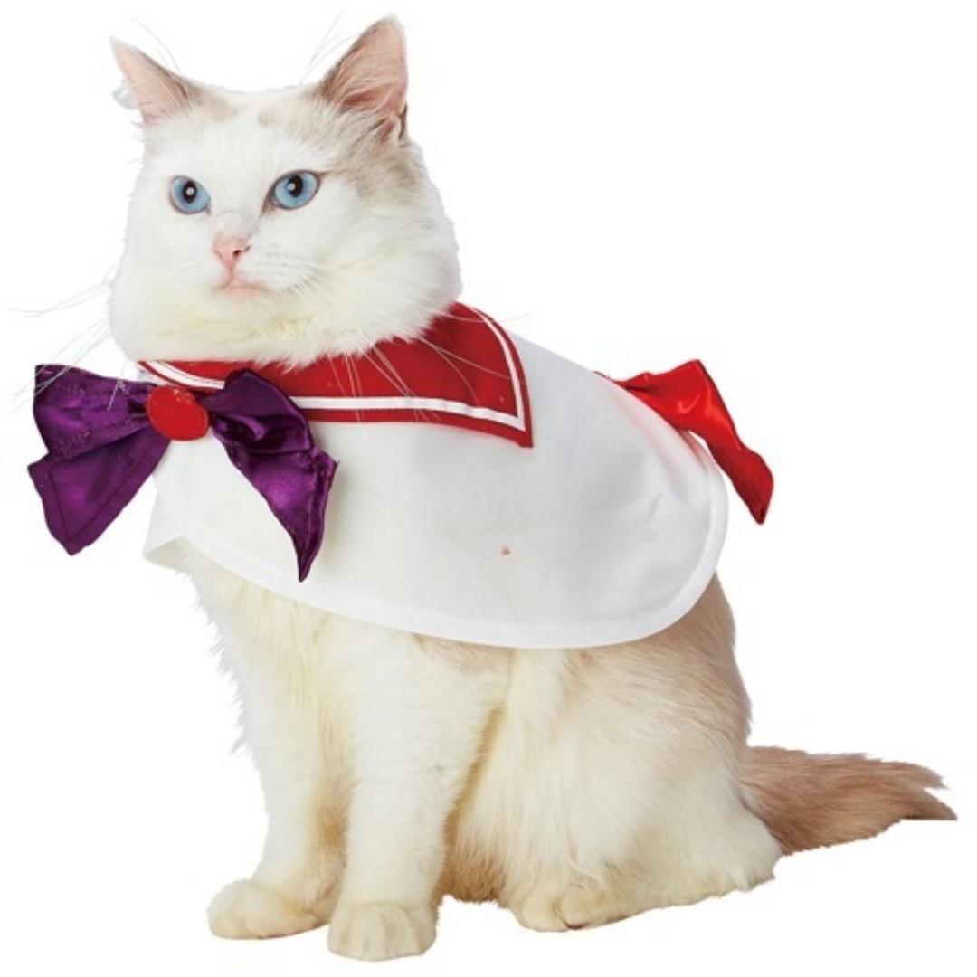 代購 日本sailor Moon美少女戰士水手服寵物貓衣服衫裙pet Cat Kitten Costumes 火野麗sailor Mars 包郵 寵物用品 寵物衣服 Carousell