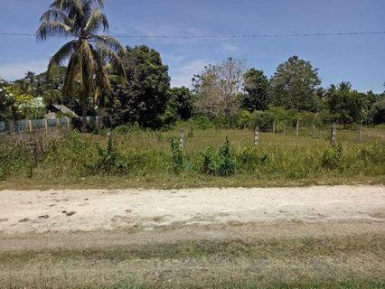 Albuquerque View All Albuquerque Ads In Carousell Philippines