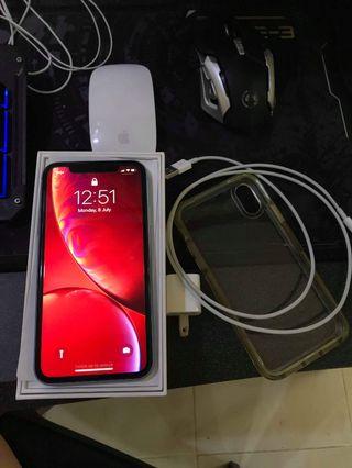 Iphone XR 256GB Blue