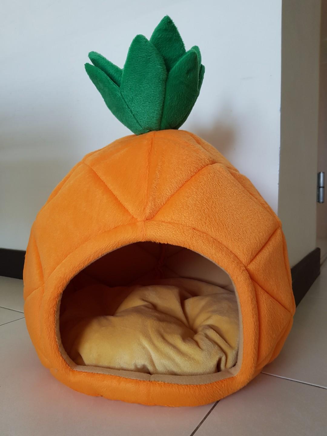 Cat Dog Pineapple Bed House Pet Supplies For Cats Cat Accessories On Carousell
