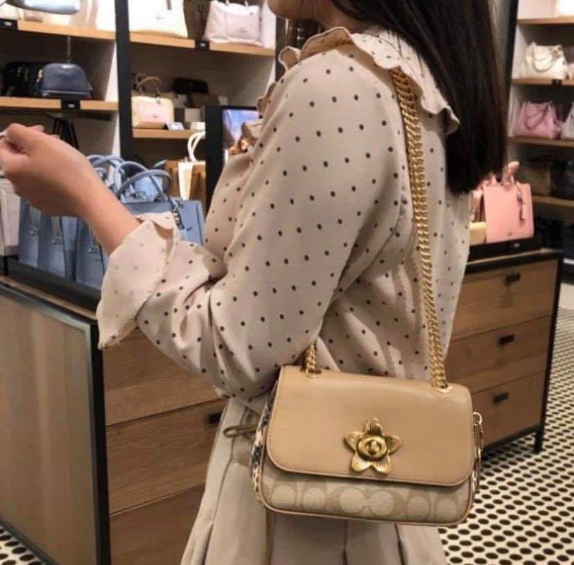 Cassidy coach bag best sale