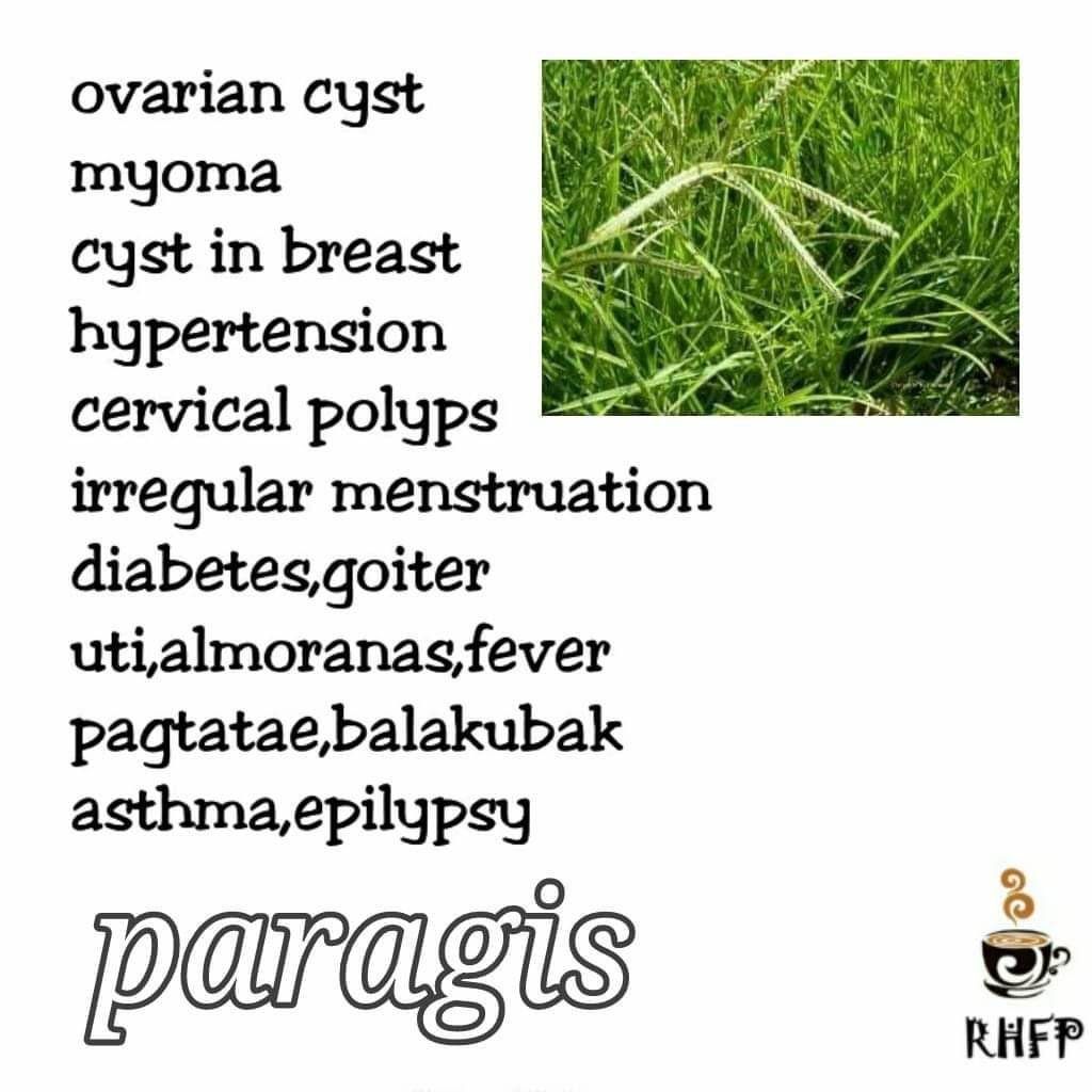 Paragis With Guyabano Tea For Diabetes And Gerd Food Drinks Fresh Produce On Carousell