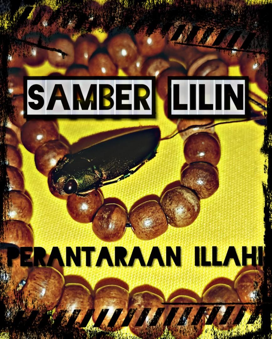 Samber Lilin Asli Everything Else On Carousell