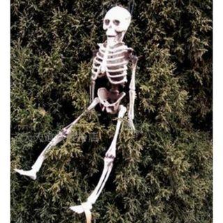 Corpse Skeleton Figurine