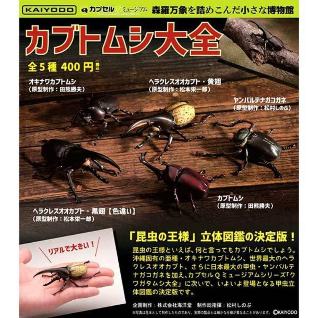 Feb Gacha Po Capsule Q Museum Beetle カプセルqミュージアム カブトムシ大全 5pcs Set Entertainment J Pop On Carousell