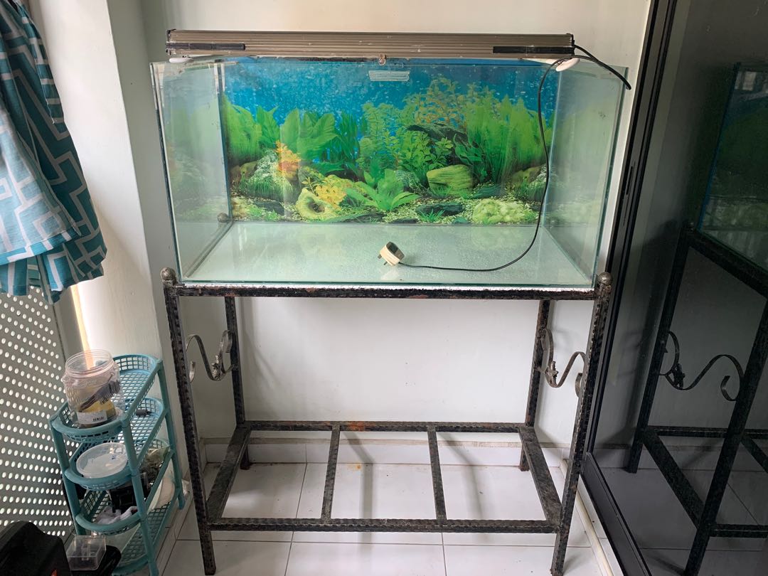 Fish aquarium tank 40 gallon with steel rack, Pet Supplies, Homes