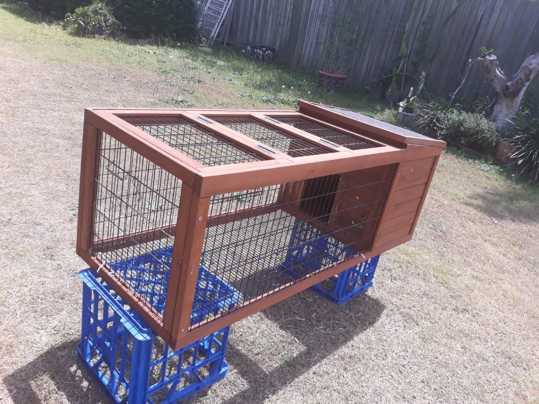 Guinea Pig Hutch, Pets Supplies, Furniture on Carousell