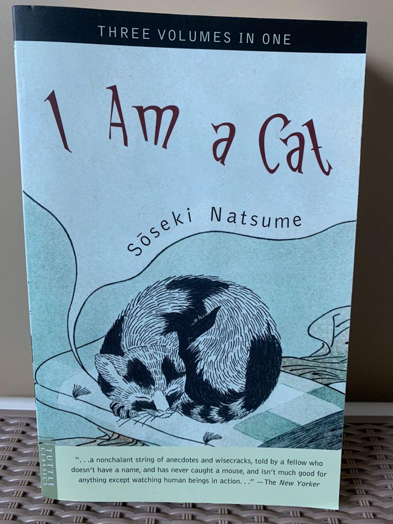 I Am A Cat Books Stationery Children S Books On Carousell