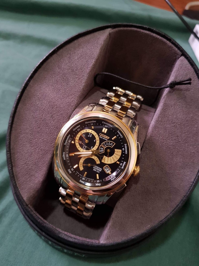 Citizen Eco Drive Gold And Silver 2024 favors