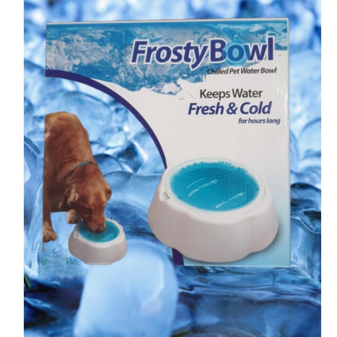 Frosty Pet Water Bowl Pet Supplies Homes Other Pet Accessories