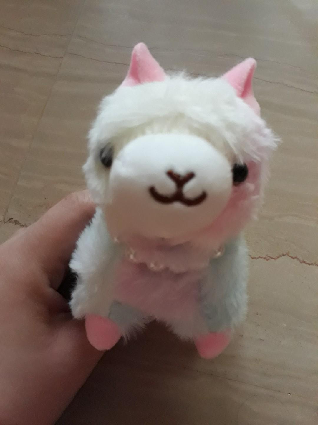 happy teddy