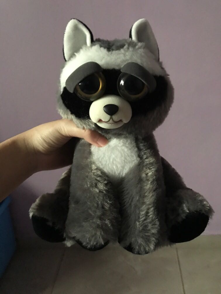 Feisty pets raccoon sales