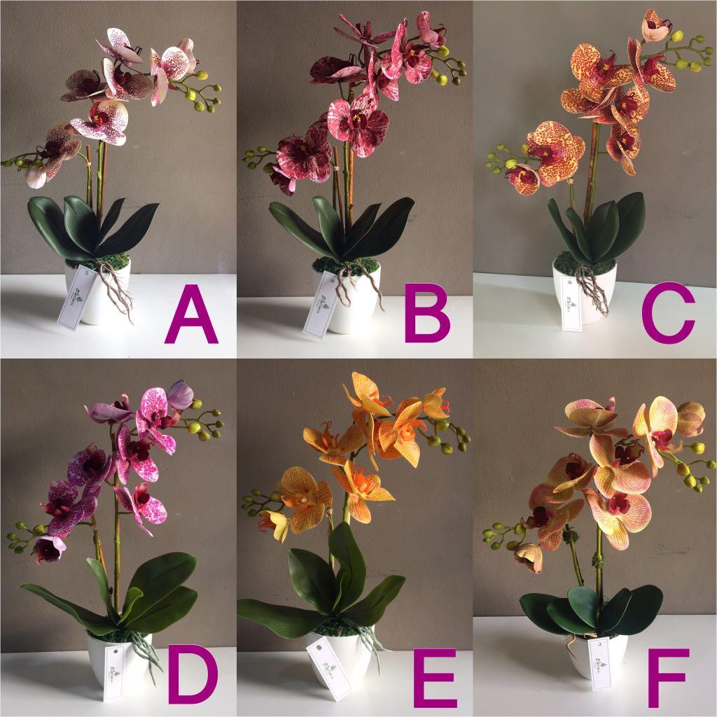 Artificial Orchid Home Furniture Home Decor On Carousell