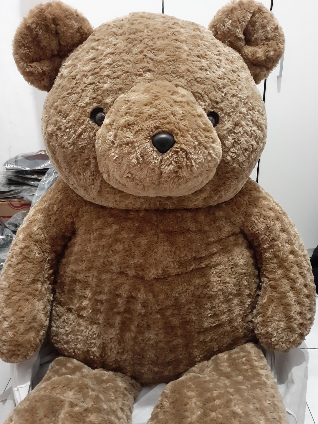 Teddy house store harga