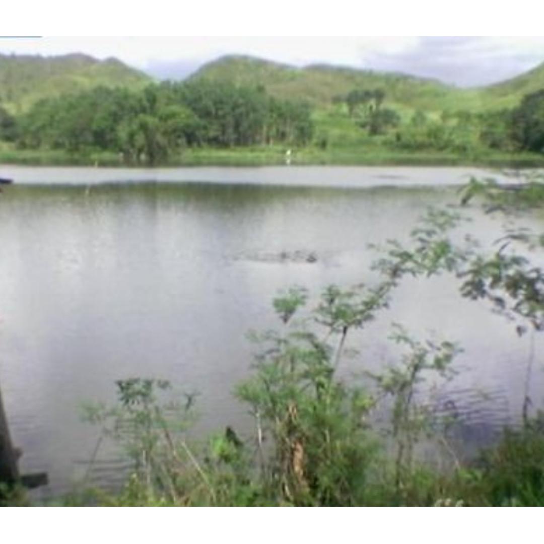 32 hectare farm nueva vizcaya farm lake spring bambang, Everything Else, Others on Carousell
