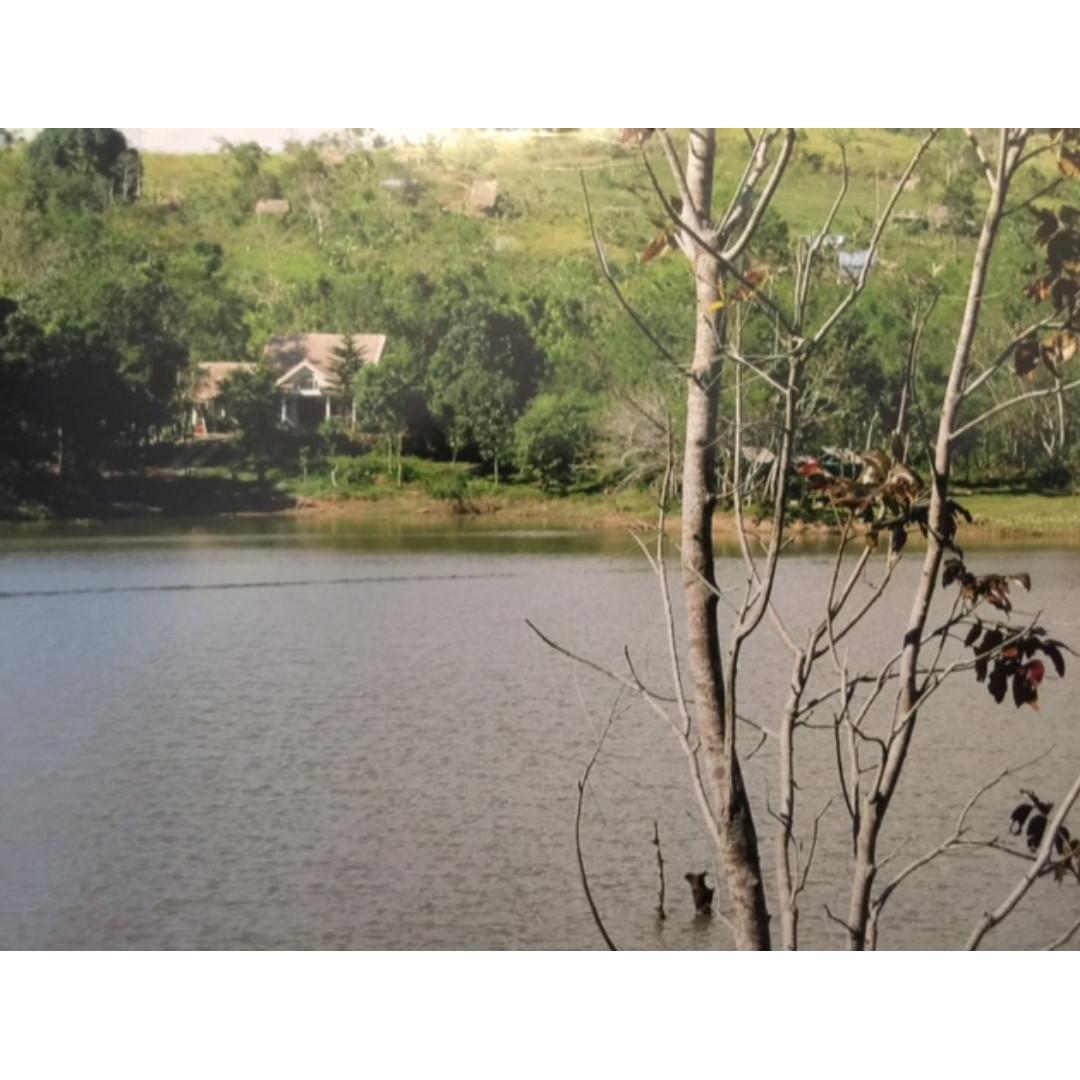 32 hectare farm nueva vizcaya farm lake spring bambang, Everything Else, Others on Carousell