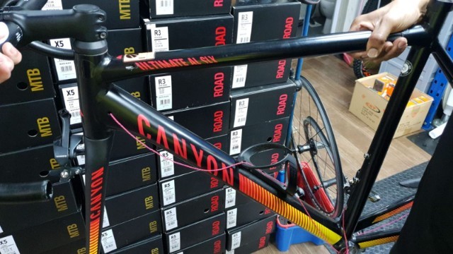 canyon ultimate al frameset