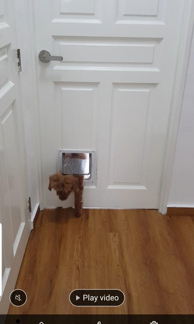 installing a cat door