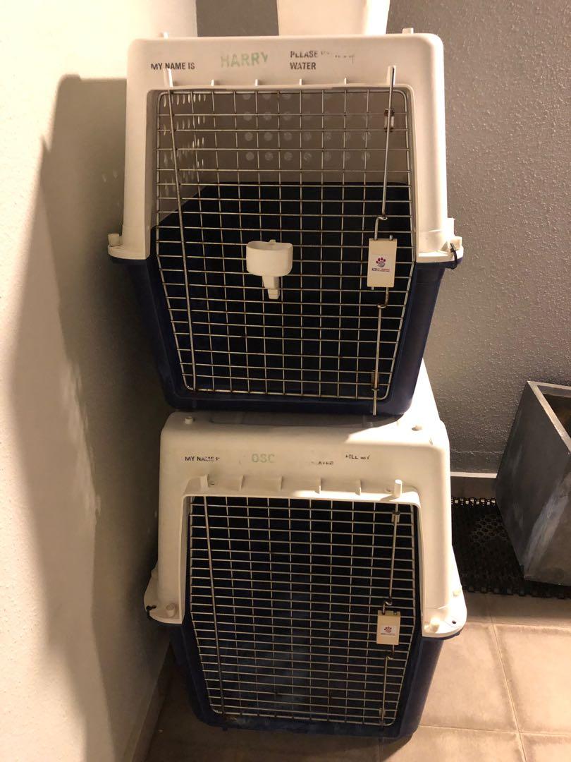 25 Kg Dog Crates Carrier Airline Iata Approved Pet Supplies For Dogs Dog Accessories On Carousell