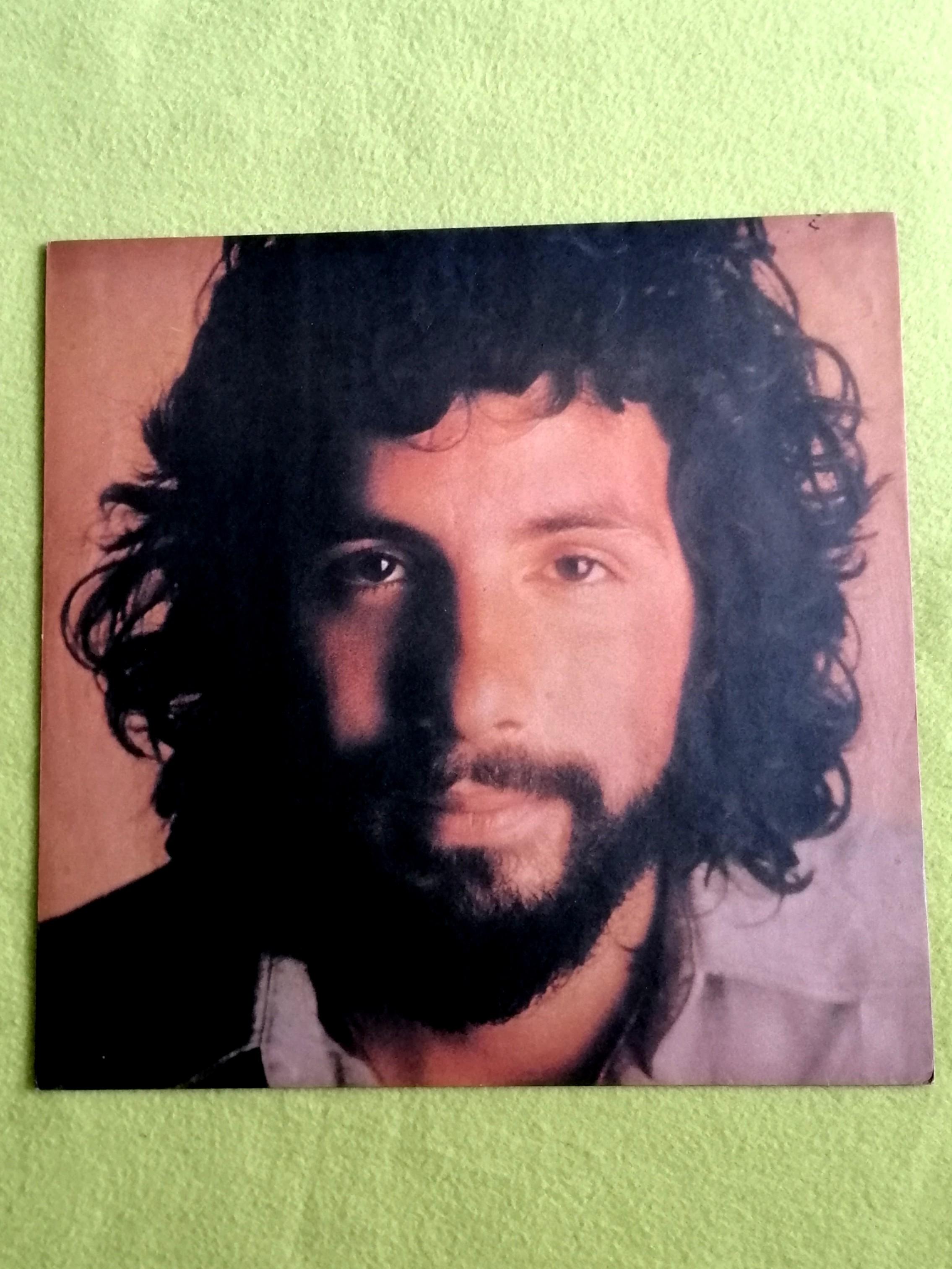 Cat Stevens Greatest Hits 24 X 14 Poster Vinyl Record F1749