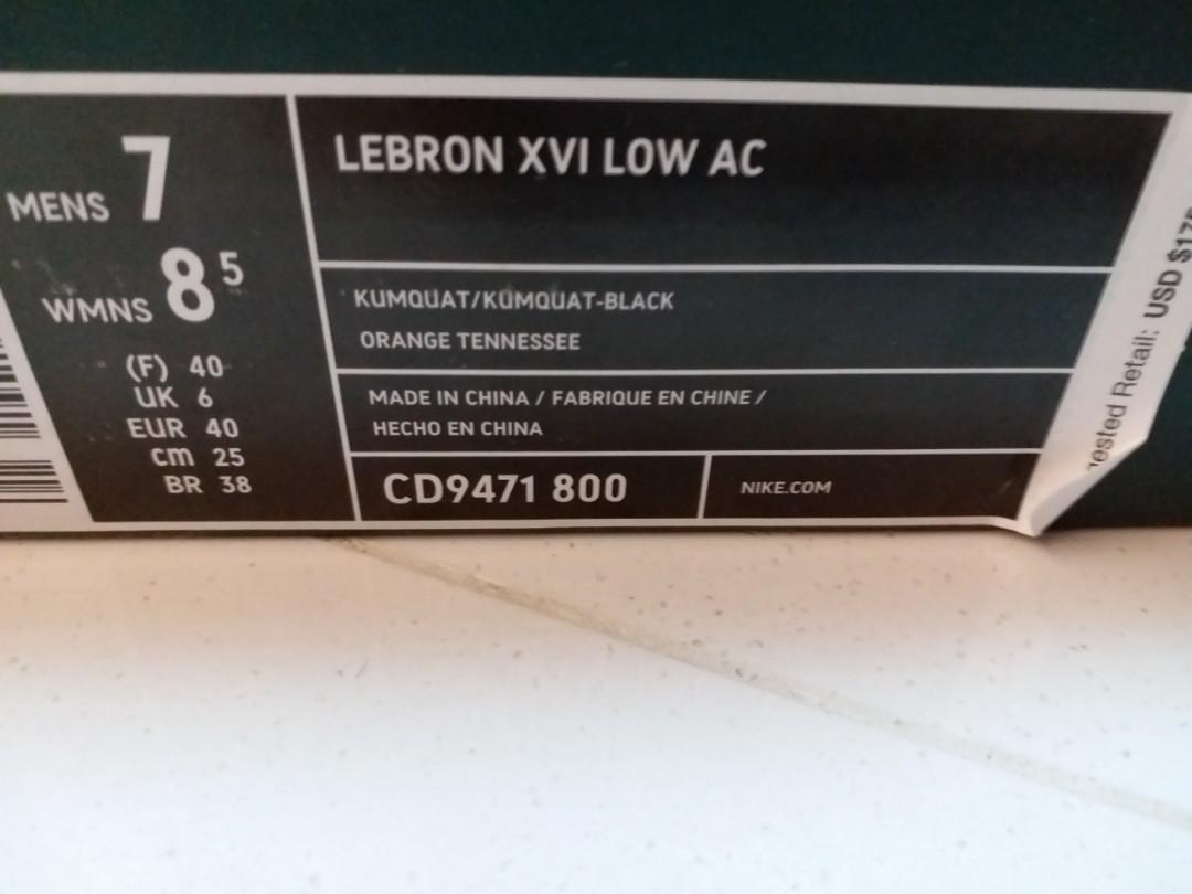 Nike Lebron James LBJ 16 Atmos Safari US7 EUR40 Carousell