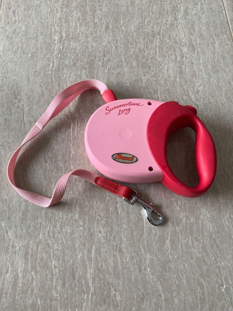 Retractable Leash, Pet Supplies, Homes & Other Pet Accessories on Carousell
