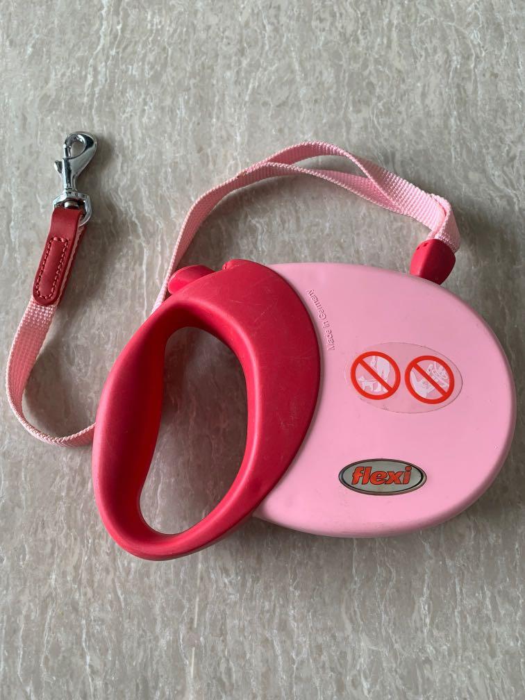 Retractable Leash, Pet Supplies, Homes & Other Pet Accessories on Carousell