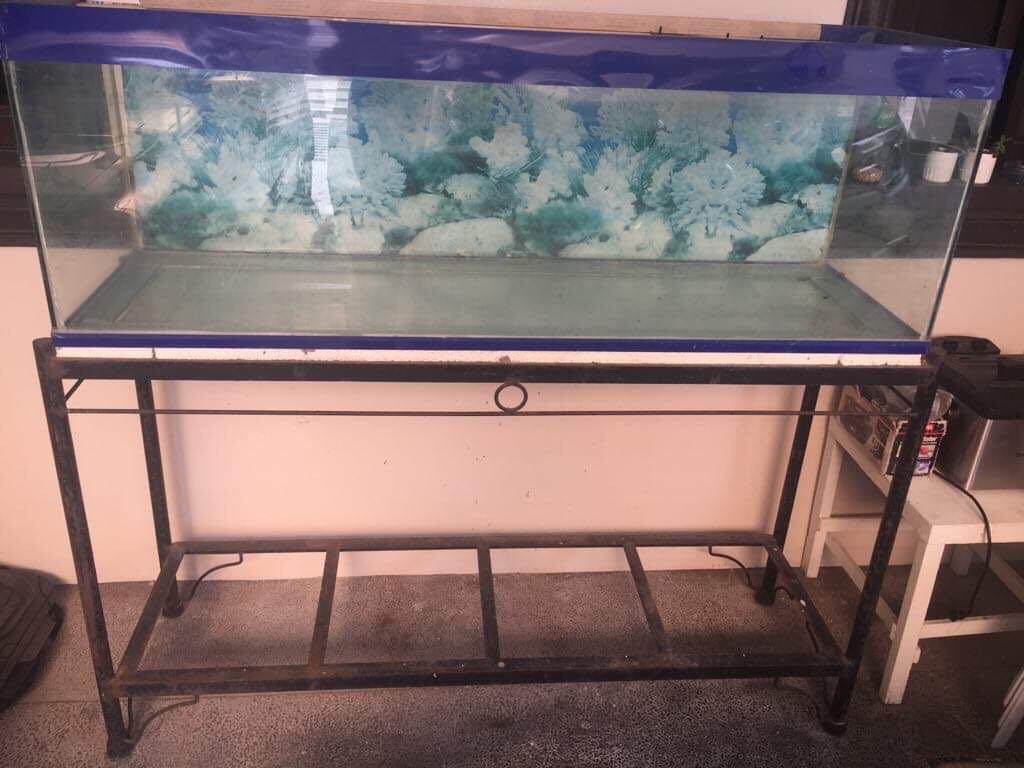 90 gallon aquarium with stand, Pet Supplies, Homes & Other Pet Accessories  on Carousell