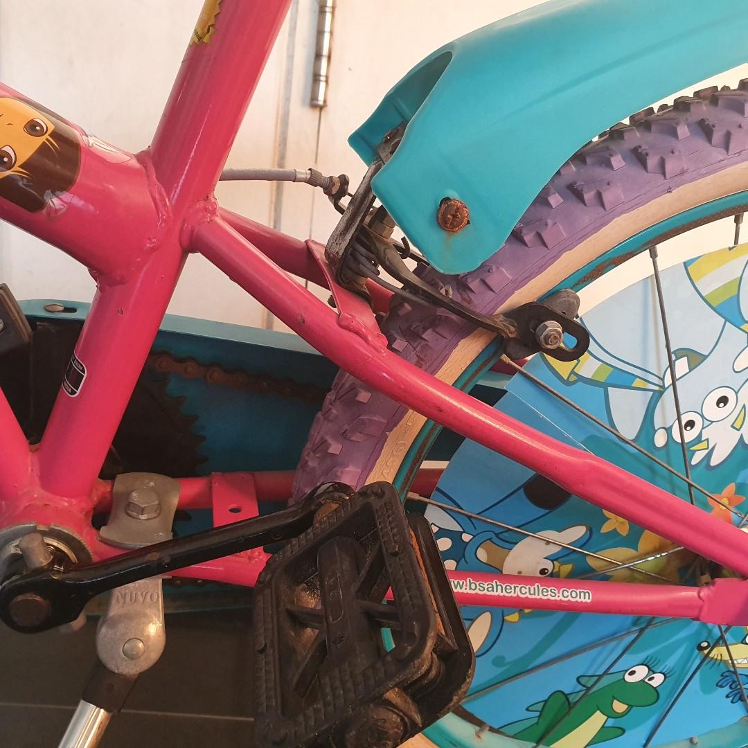 Beautiful BSA DORA kids bike bicycle 18 inches Sports Equipment