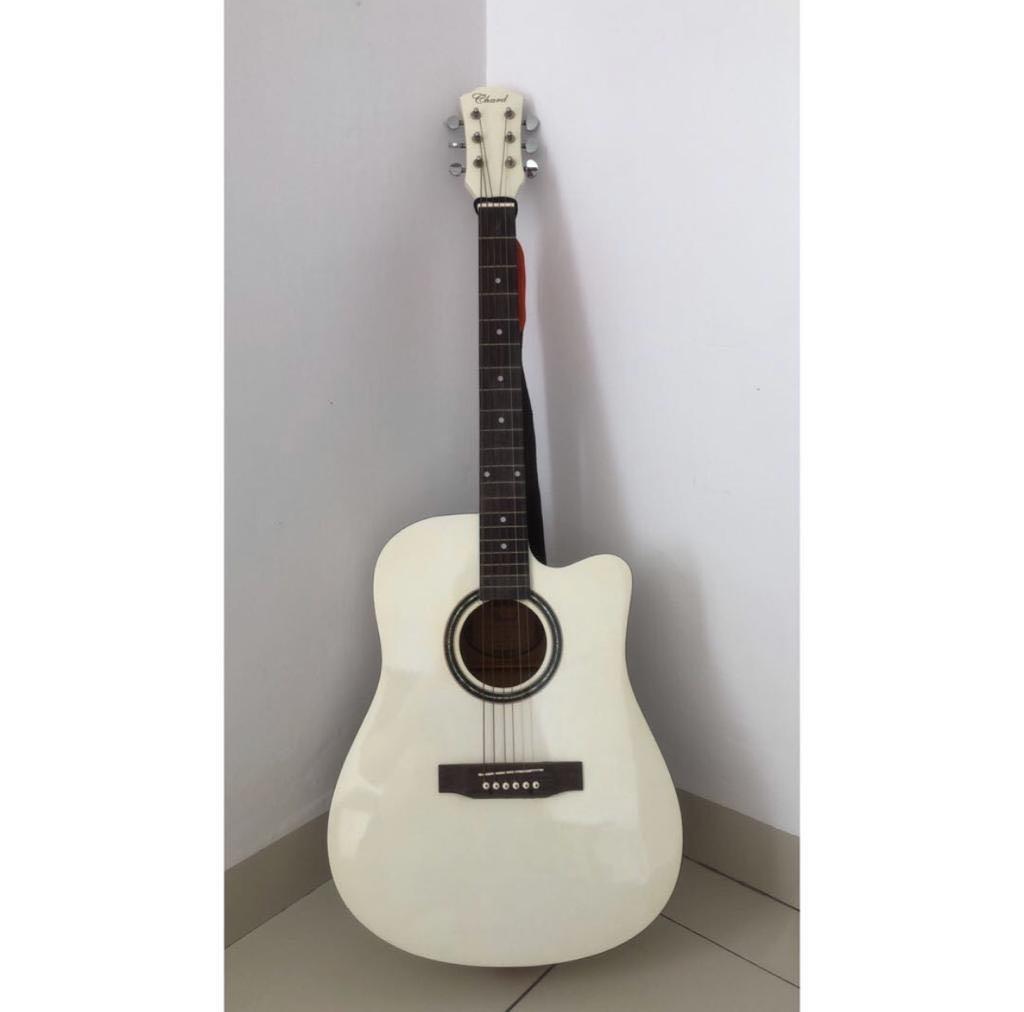 Chard shop guitar company