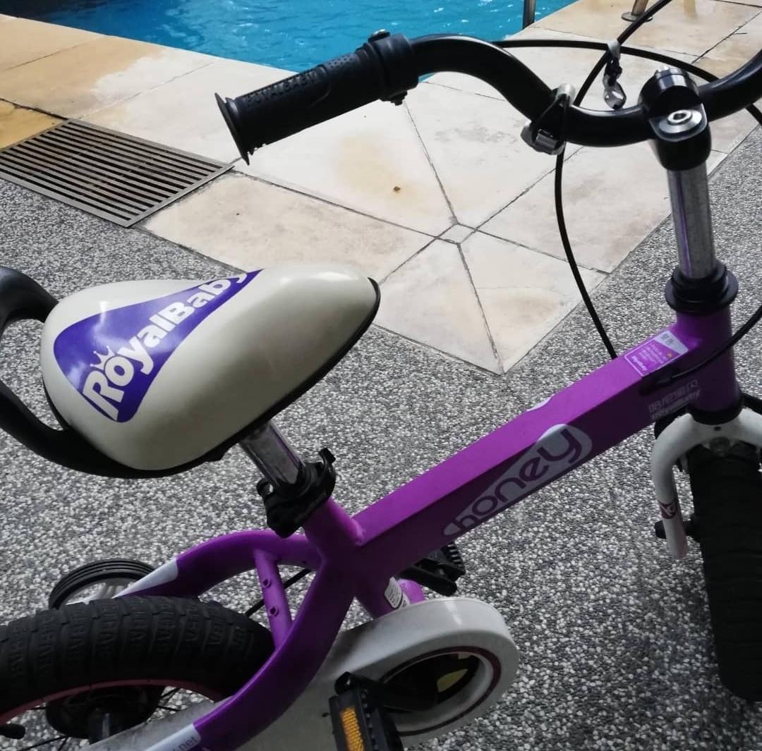 Royalbaby honey sales bike