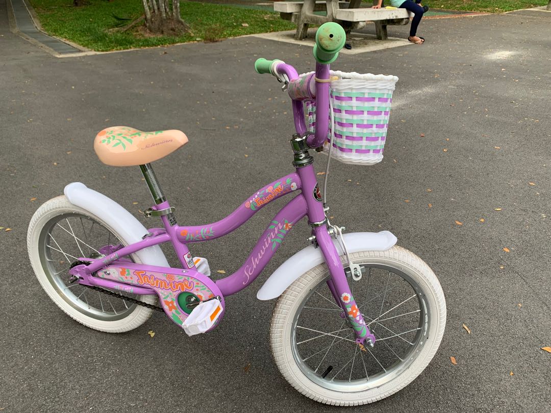 Schwinn girl's jasmine 2025 bicycle 16 purple