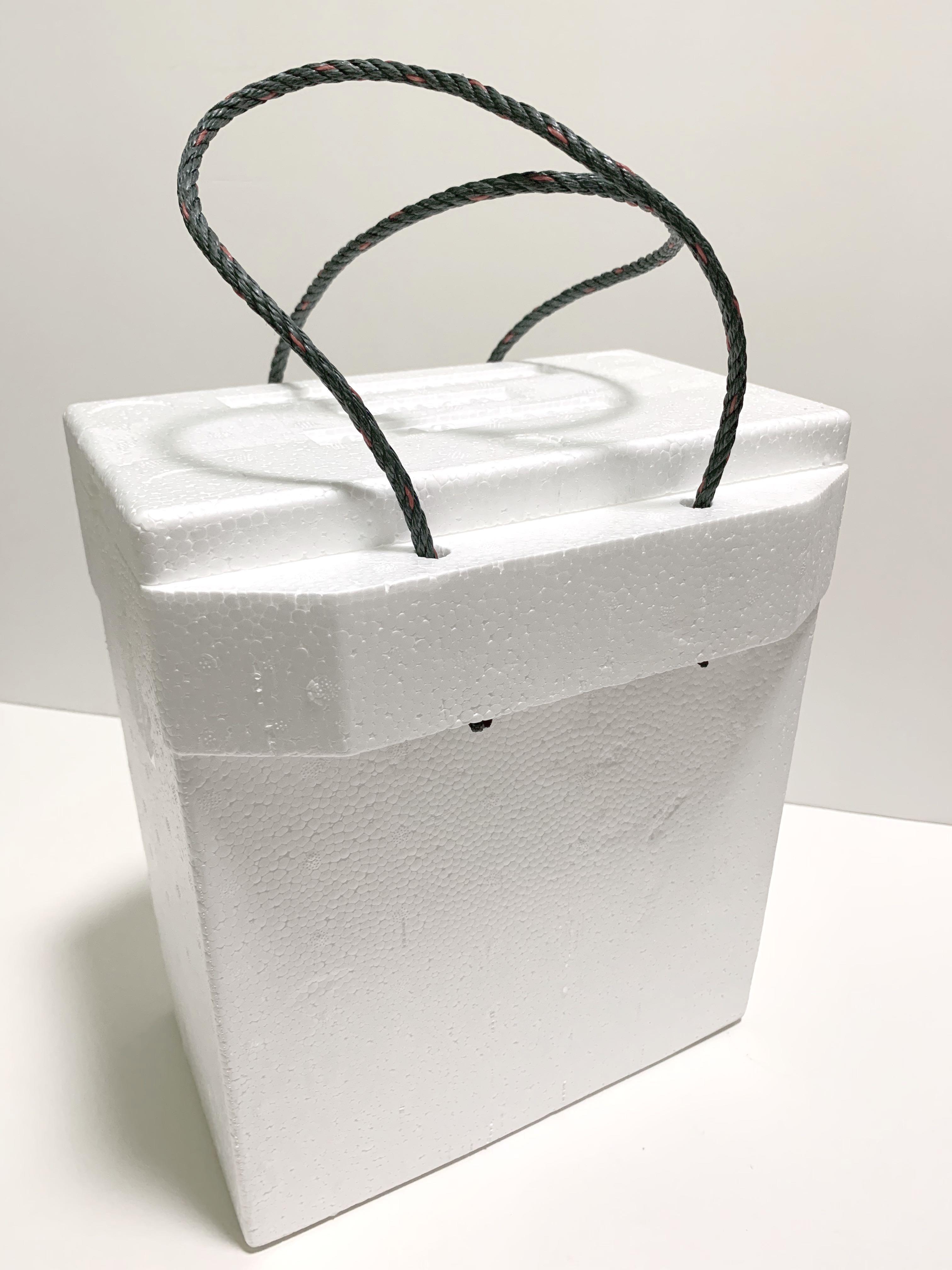 Styrofoam Boxes with String (Category: Everything Else) located in Singapore. Submitted by heavenoutlet (Listing ID 261425280, Image 2). Description: .