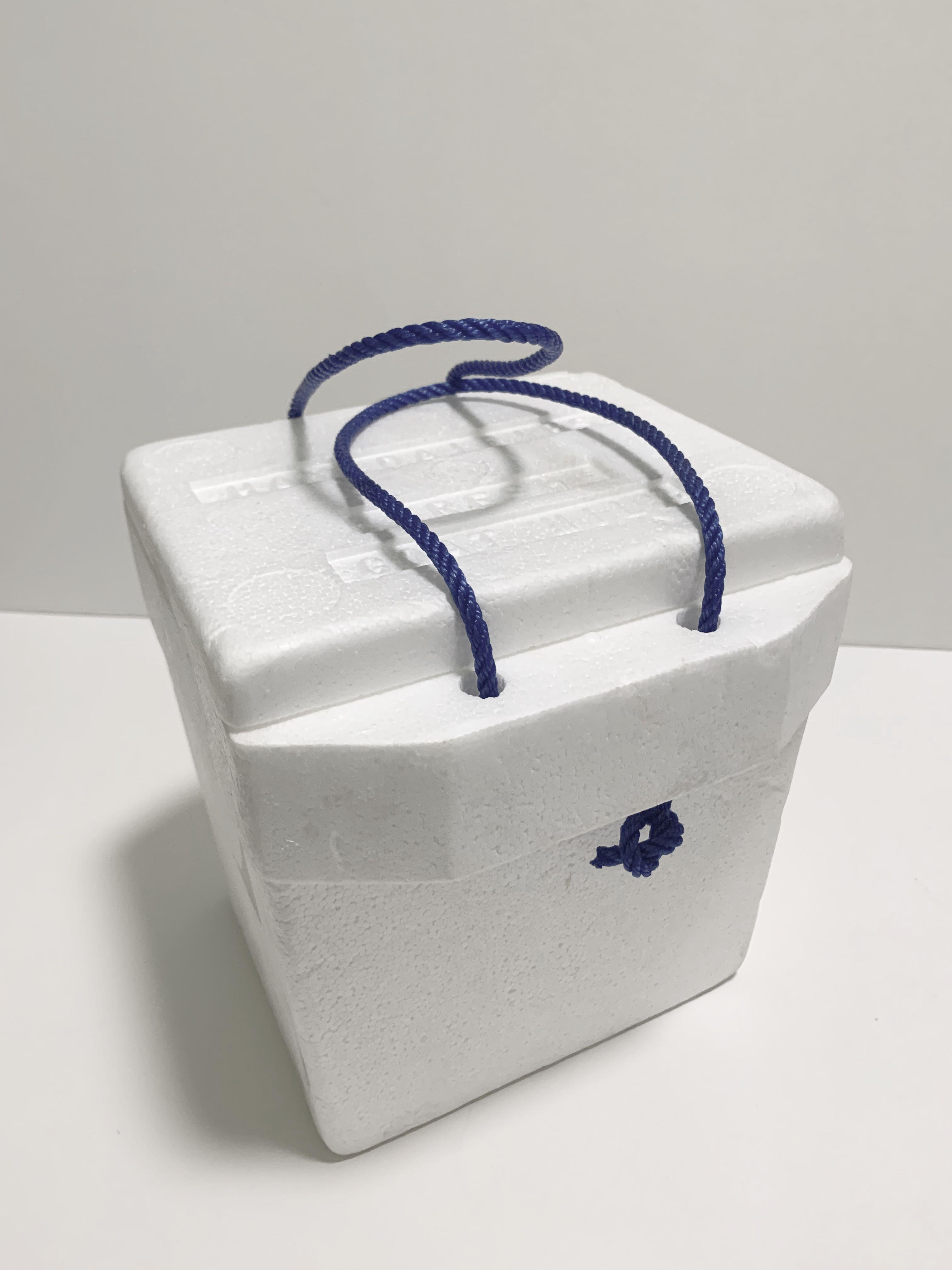 Styrofoam Boxes with String (Category: Everything Else) located in Singapore. Submitted by heavenoutlet (Listing ID 261425280, Image 1). Description: .