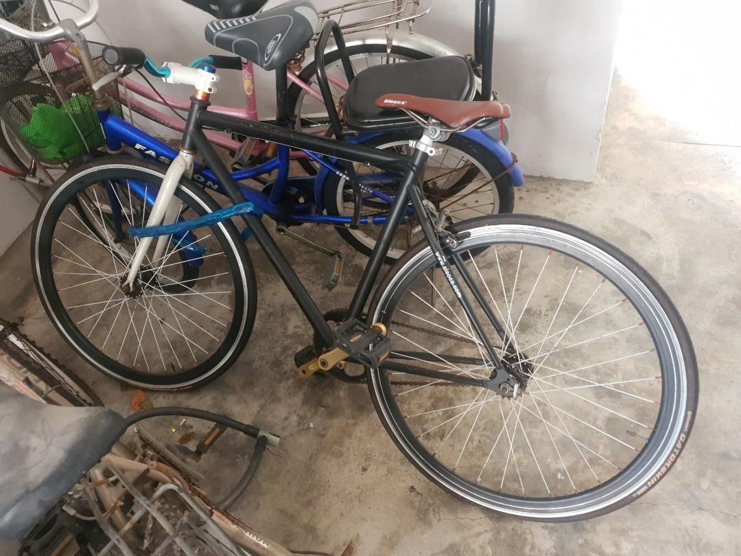 aleoca fixie