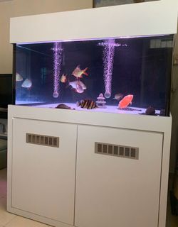 (Category: ) located in . Submitted by jaxstone (Listing ID 252154829, Image 1). Description: .