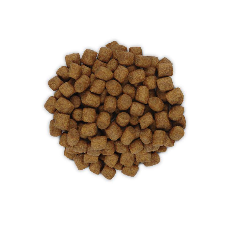 Hill s Prescription Diet Feline z d Food sensitivities Dry Cat